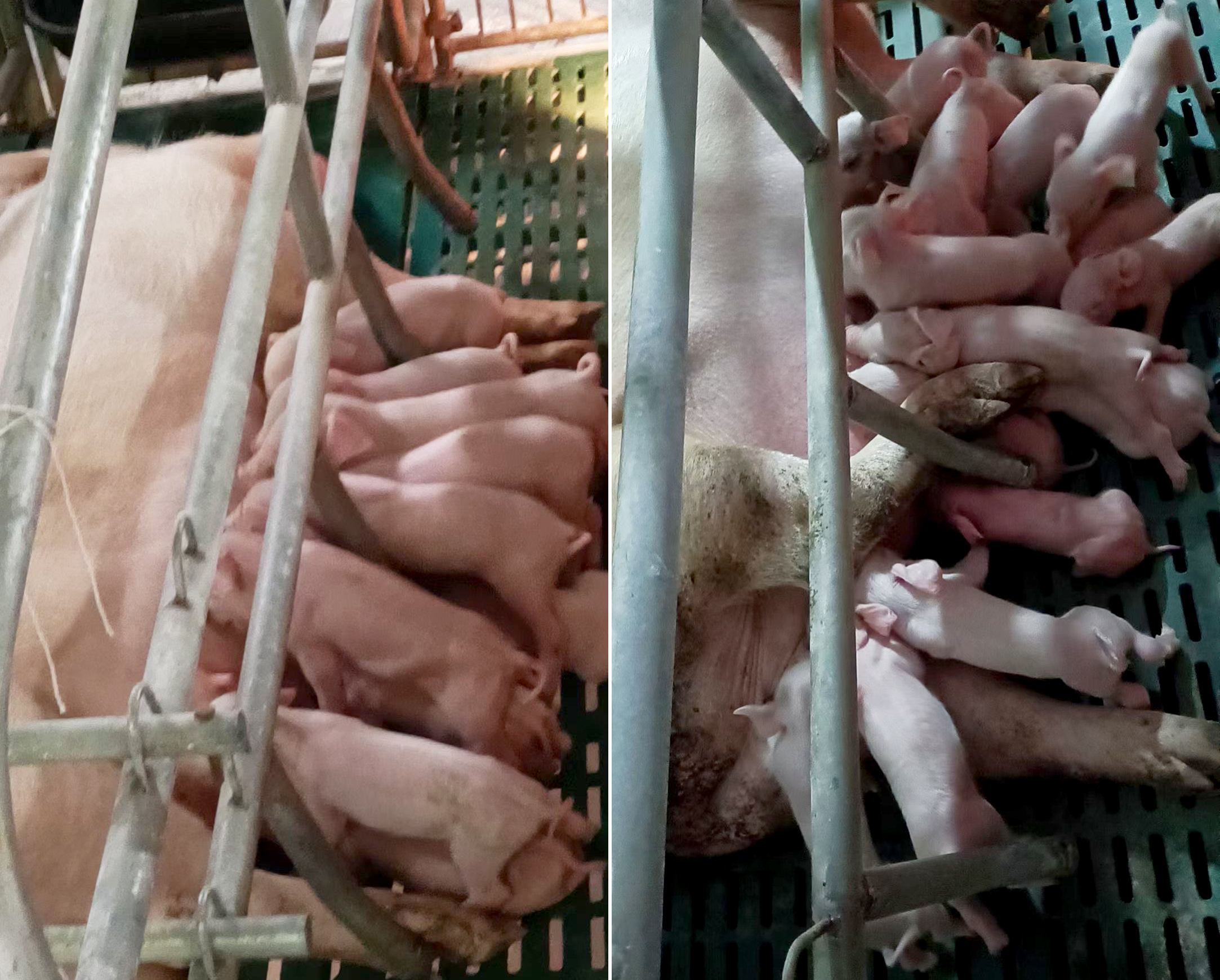 1686726356121435.jpg 微信圖片_20230602091310.jpg