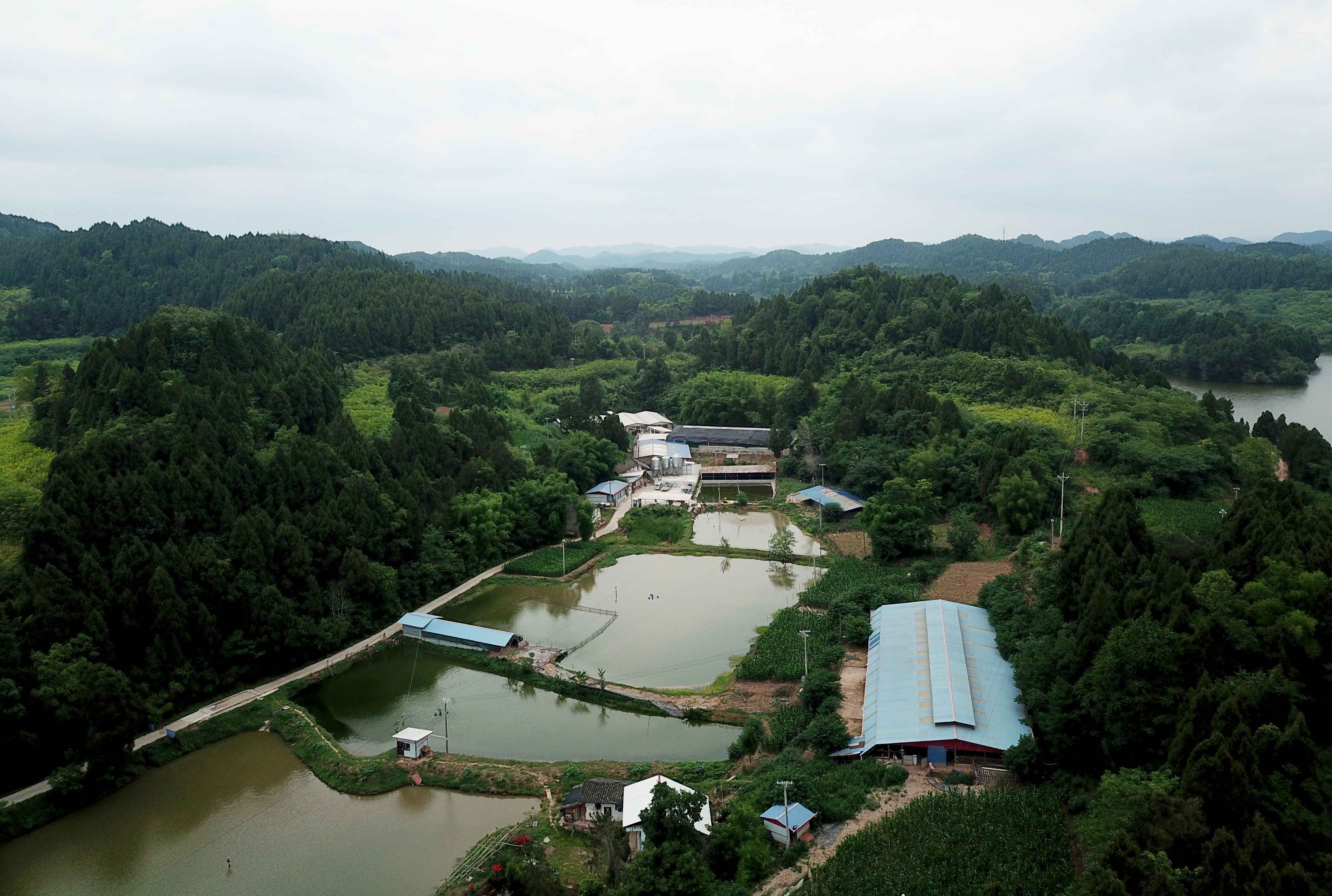 1686726661494004.jpg DJI_0012.jpg